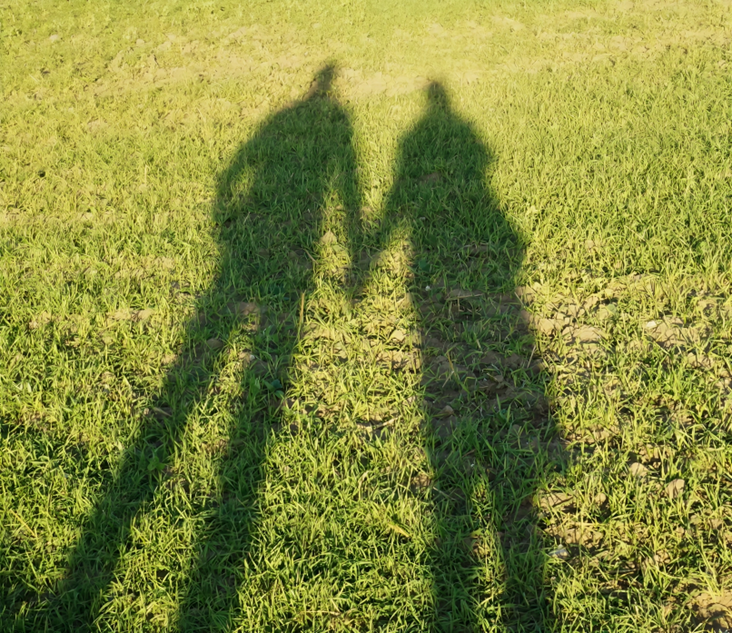 Systemische Praxis Dünwald - Systemische Beratung und Therapie - Schatten zweier Menschen